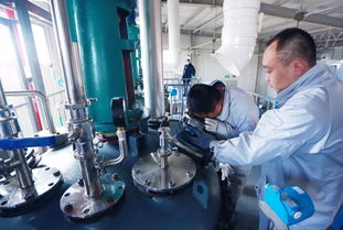 遼寧藥聯 項目建設與產品研發共振，旅游軟件創新驅動企業快步發展